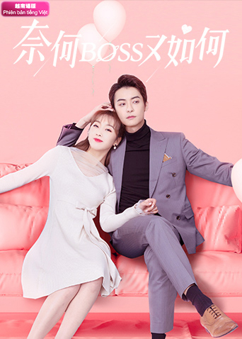 奈何BOSS又如何 越南版语版