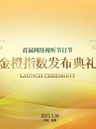 第一书记-无障碍版