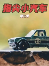 指尖小汽车 第2季